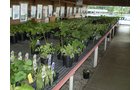 Property photo 38 - Complete Greenhouse Inventory Liquidation, 2 Dates, October 23 & 26 Plus 14 Acres